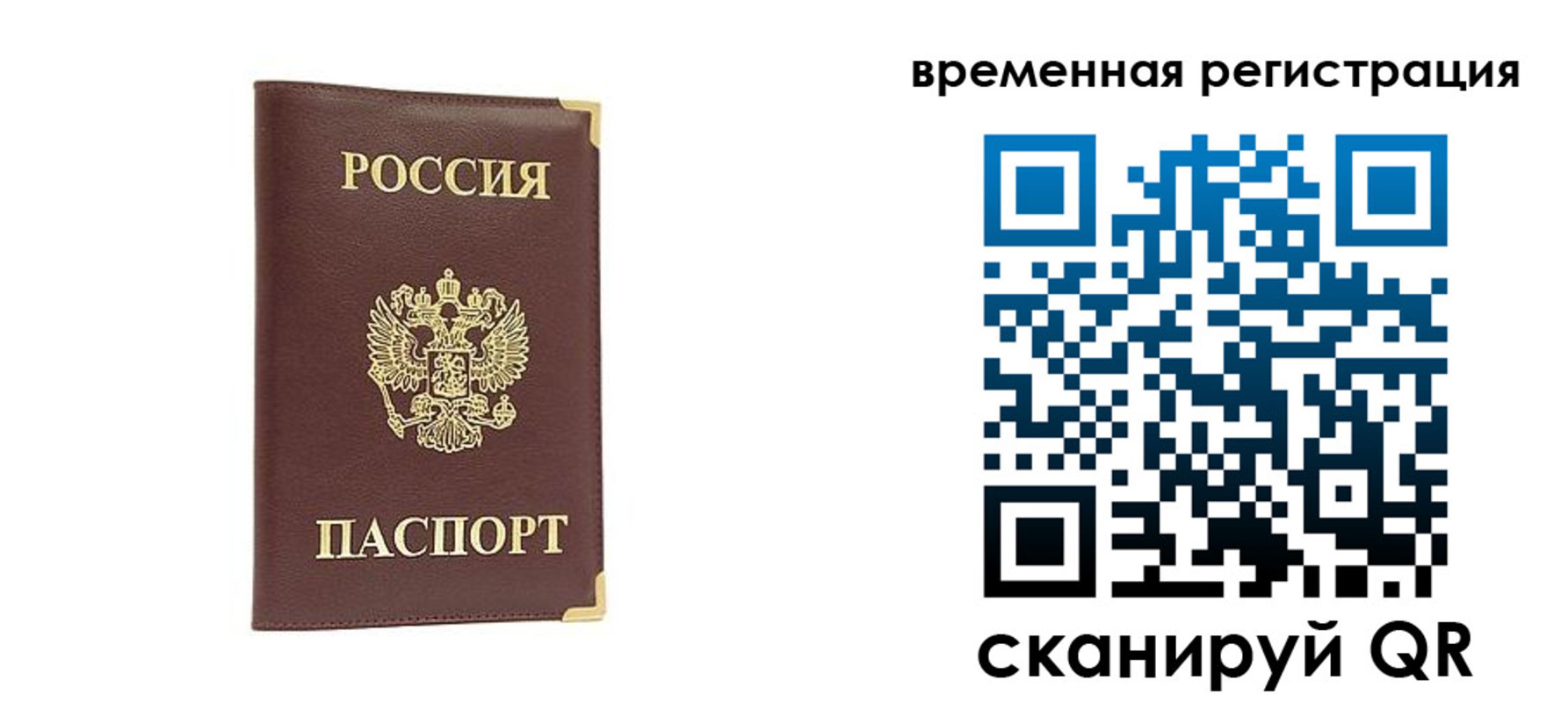 купить прописку в Вольске